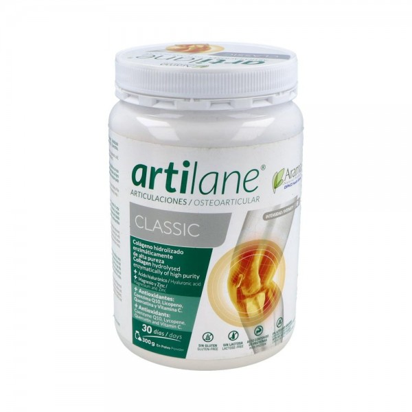ARTILANE CLASSIC 300 G POLVO